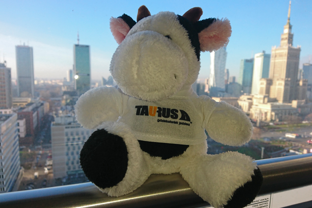  Международный союз в сегменте багажных систем — Taurus и RackWorld компании RackWorld