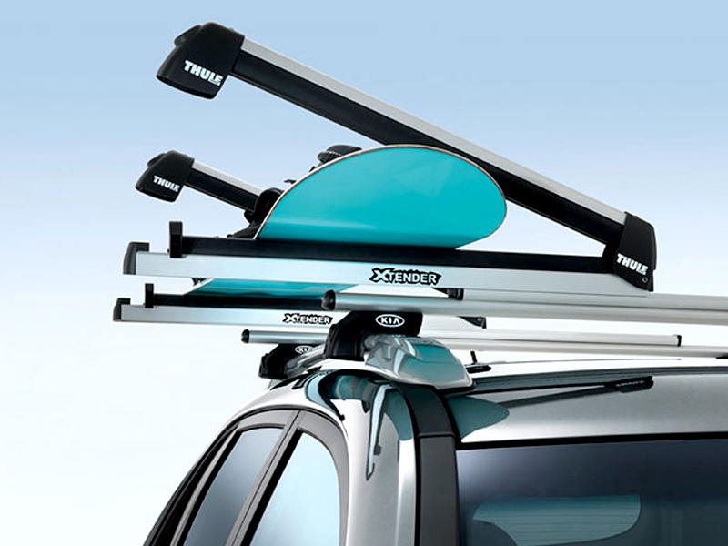 картинка Багажник для перевозки лыж Thule 739 Xtender компании RACK WORLD