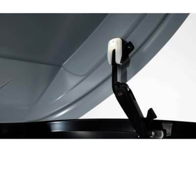   Автомобильный бокс  Thule Excellence 6119 компании RackWorld